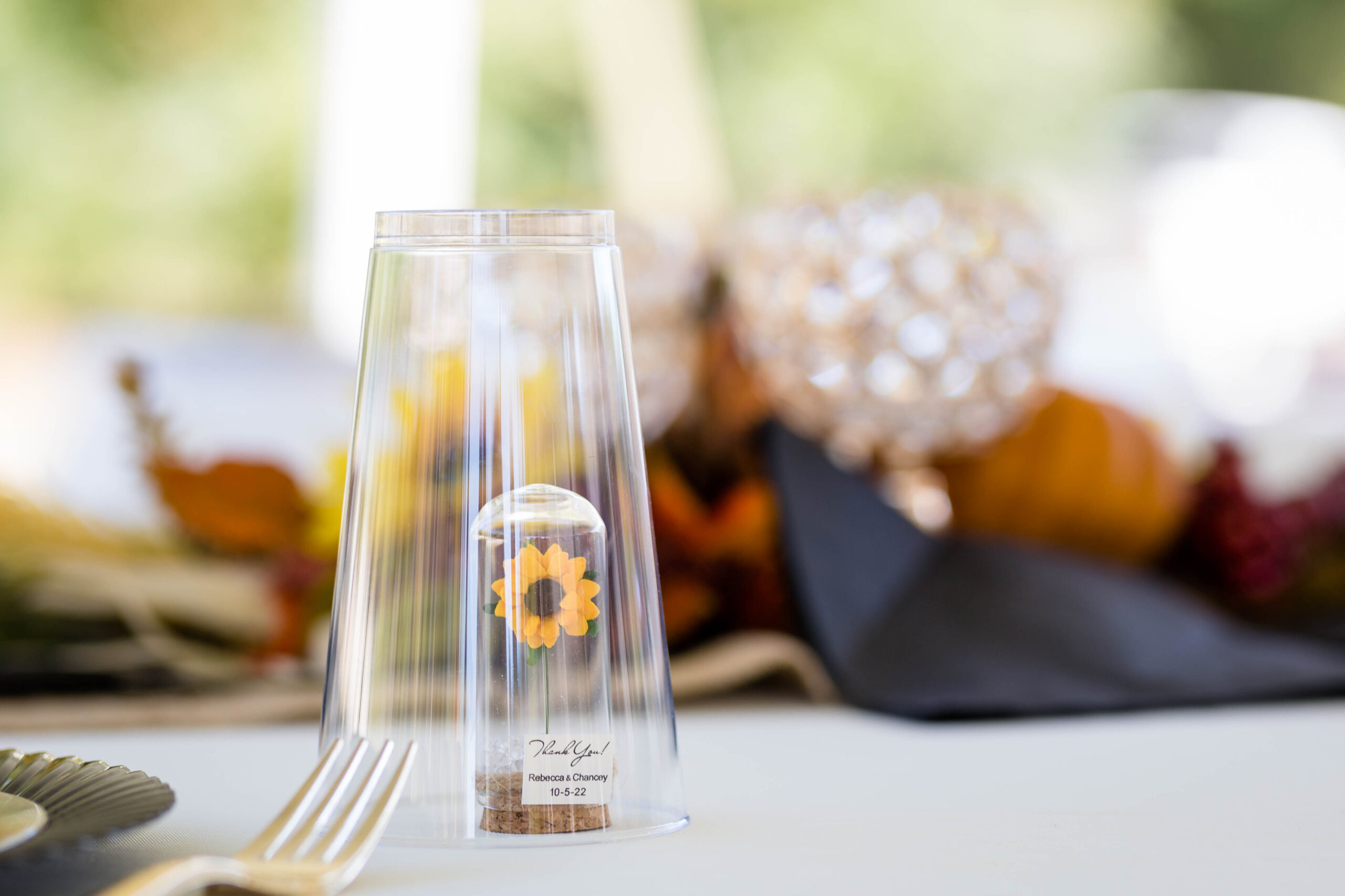 2022 10 0413.23.27 scaled