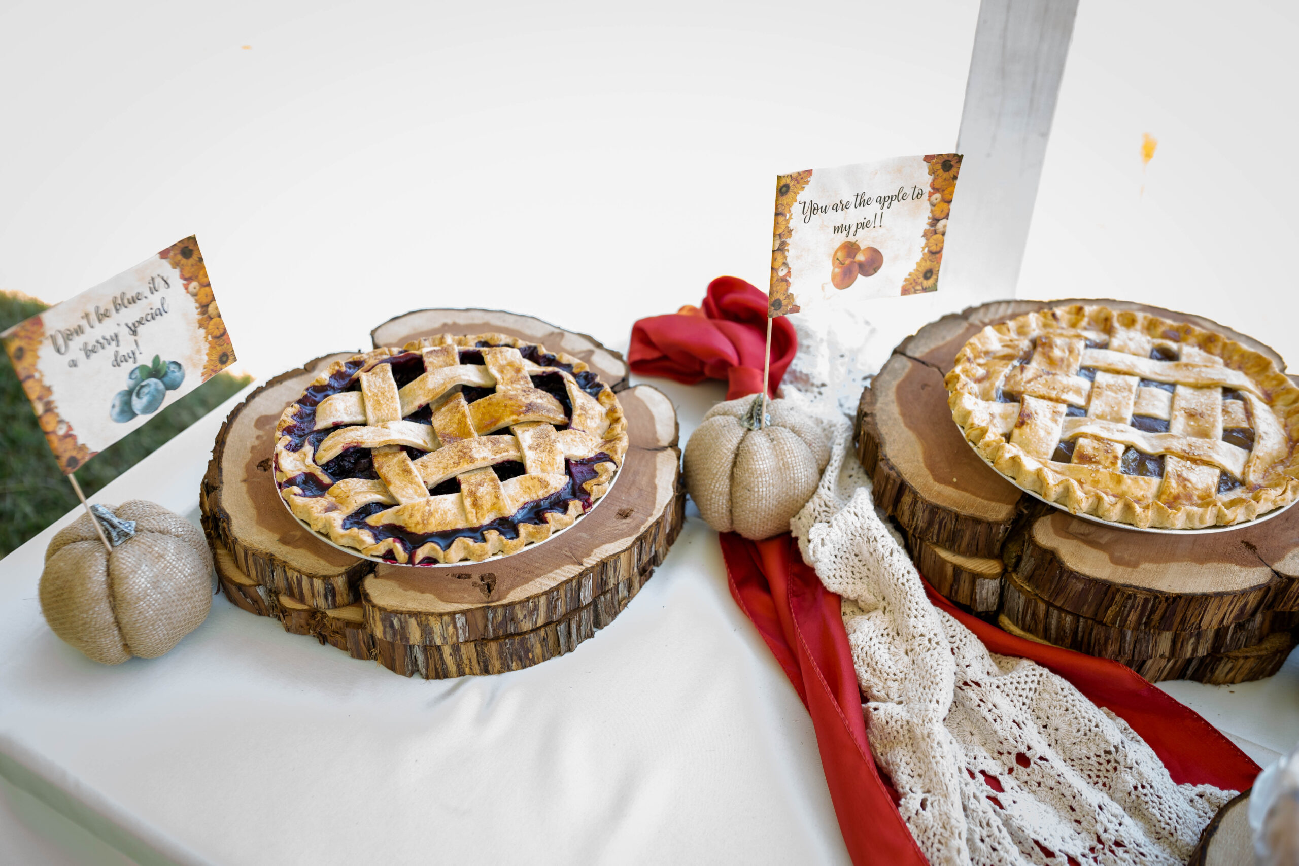 2022 10 0413.52.55 scaled