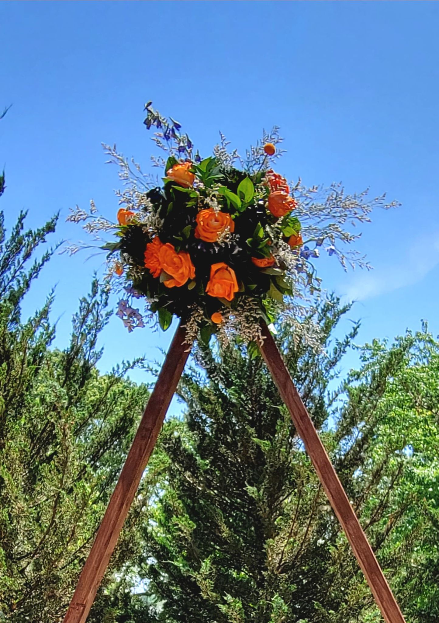 287116665 1531940277218898 4180741039922982510 n