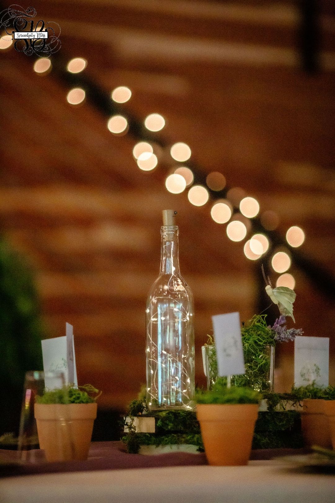 314487079 510322914322642 99324461080895829 n