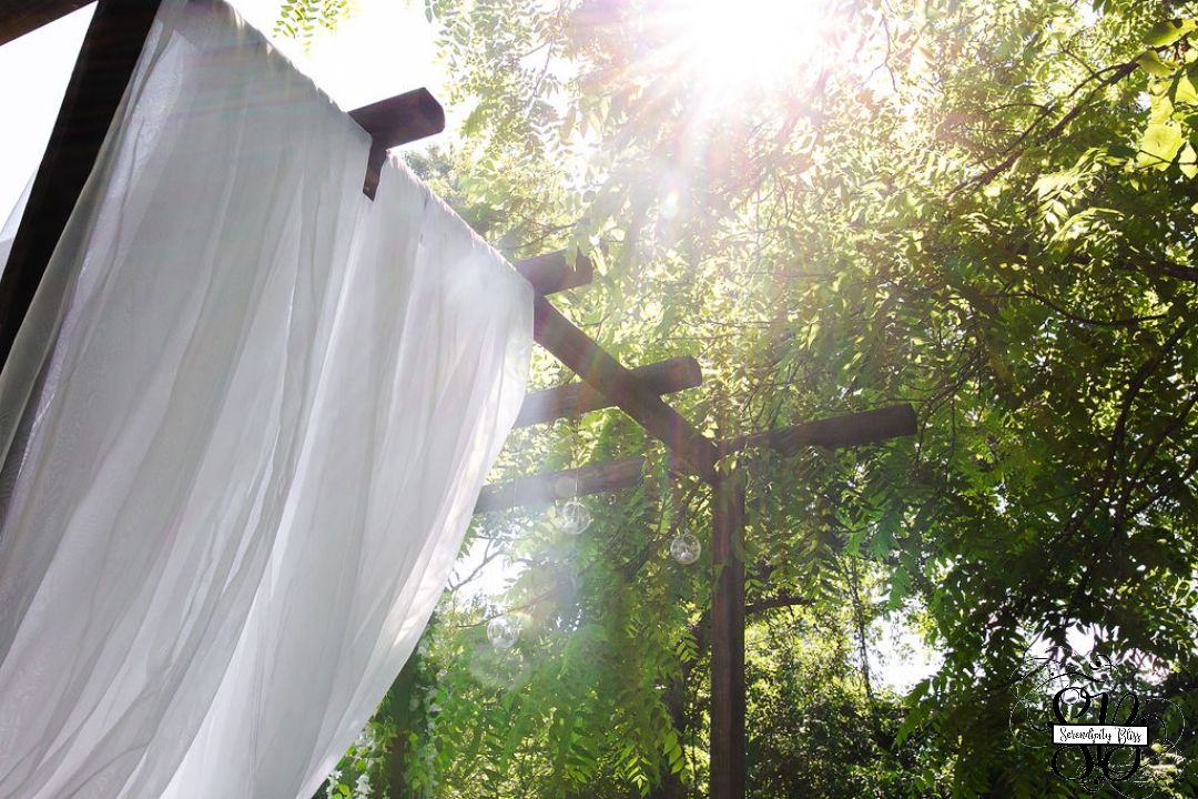 314618318 659839688865032 3378081191855818533 n