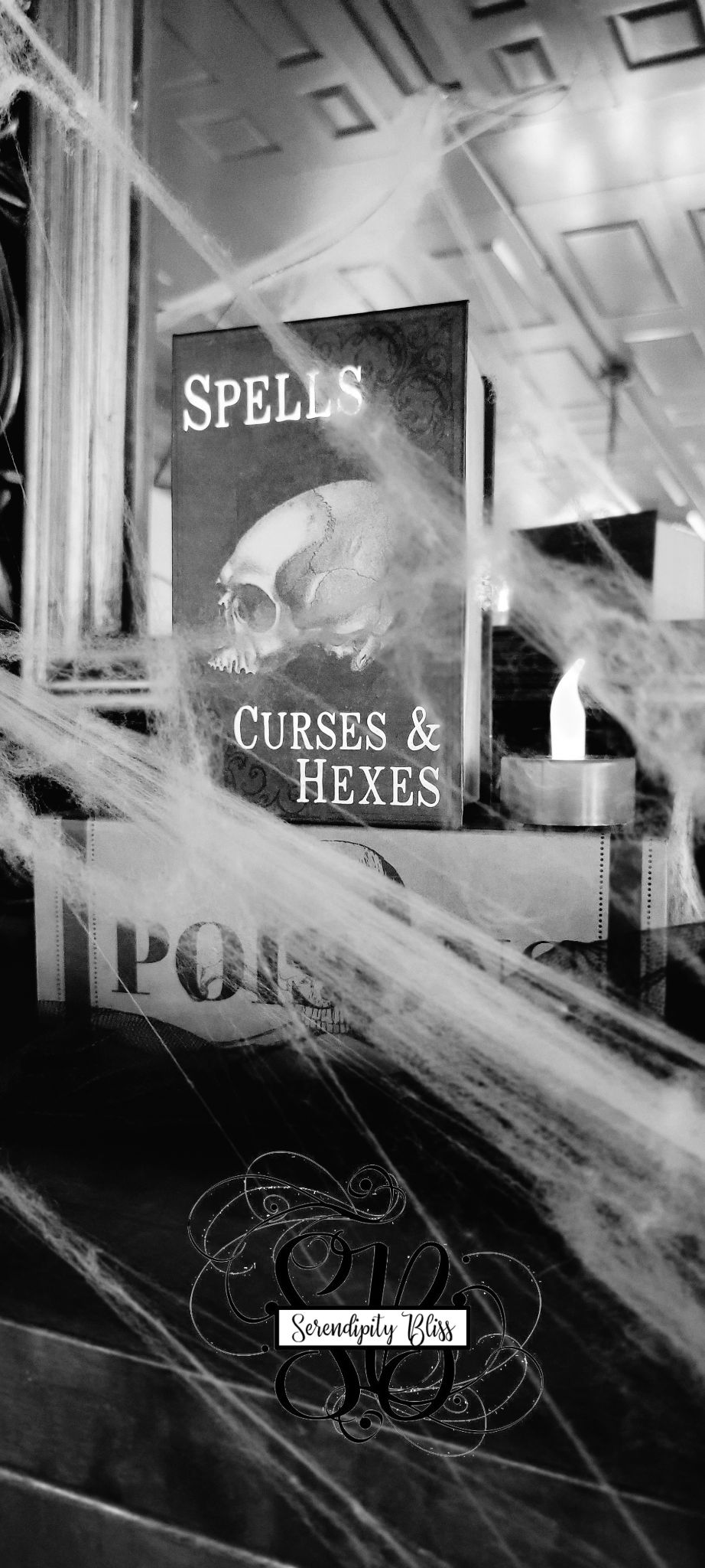 308480360 681725033166129 4312990749916765536 n 1