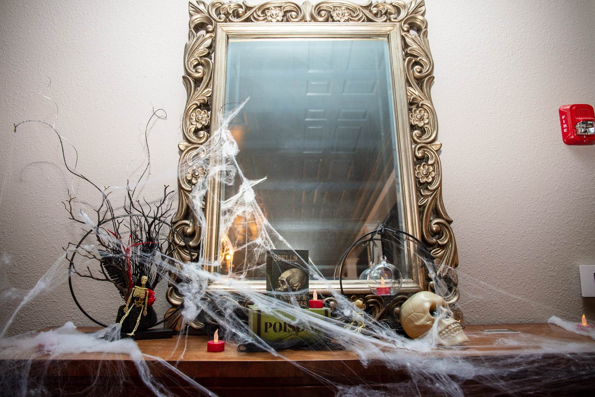 310552933 5576040562487288 8718389143629326467 n 2 1