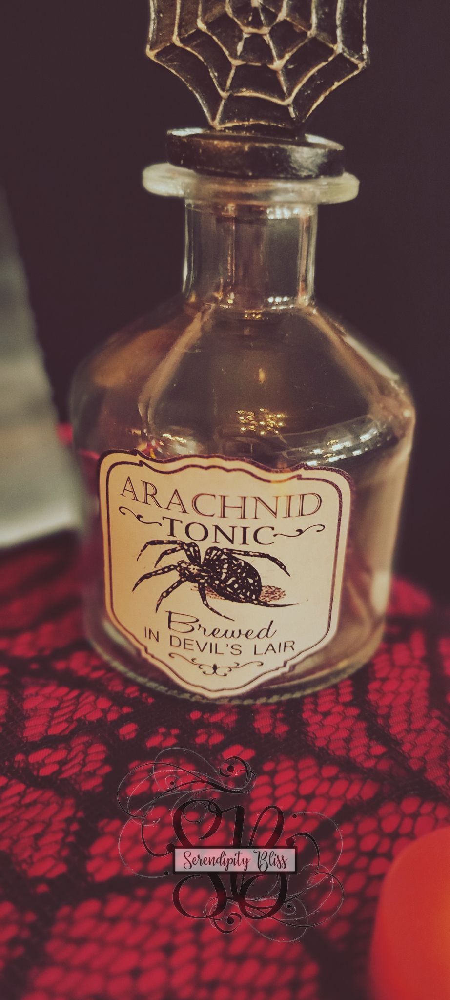 312956248 1523771068126409 349212499390367299 n