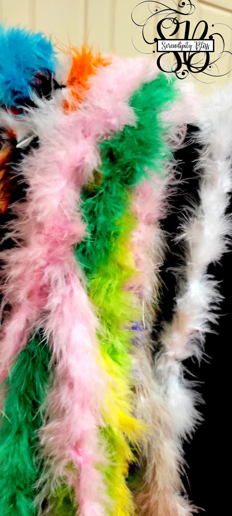 314537728 1174686773445276 1906685300625647922 n