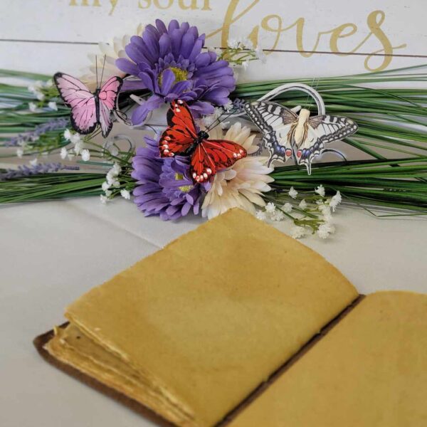 358667804 743695264187261 6490829709521014134 n