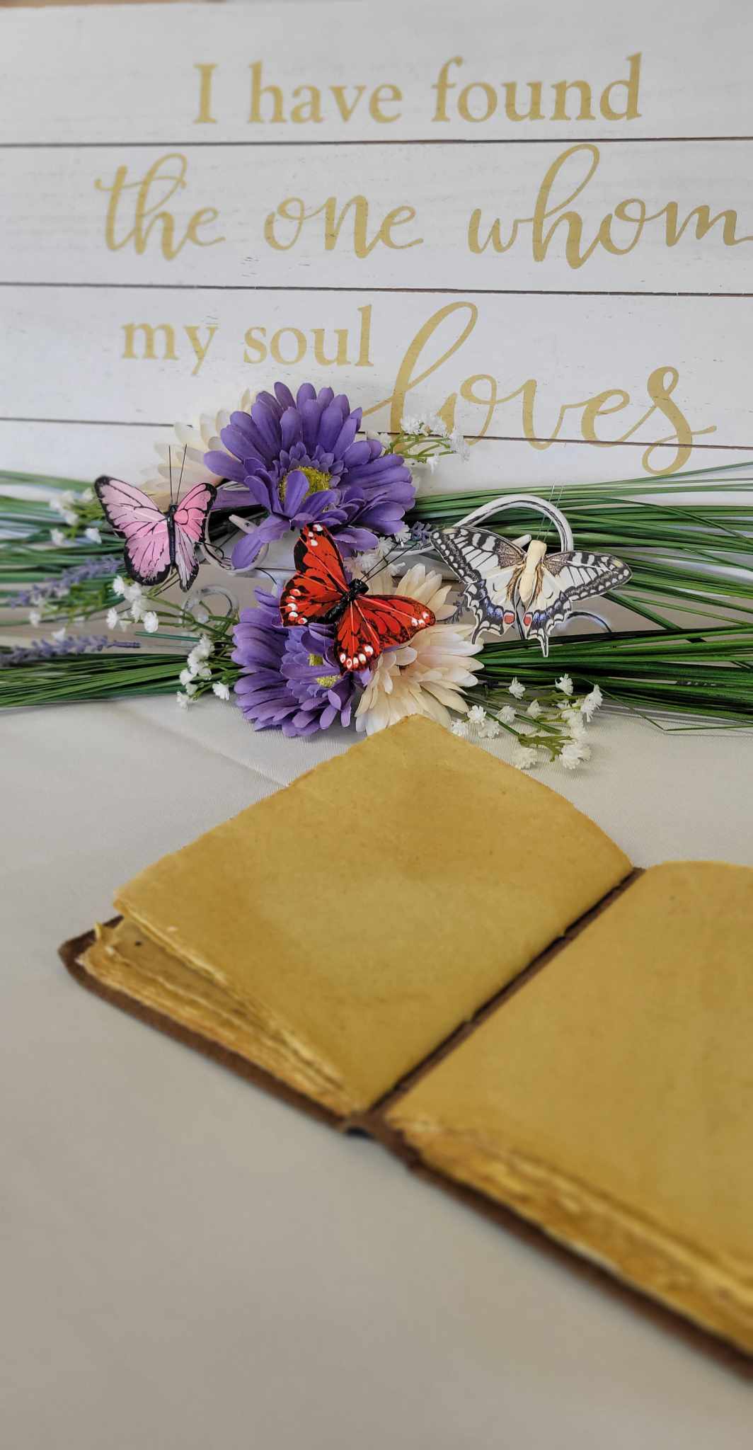 358667804 743695264187261 6490829709521014134 n