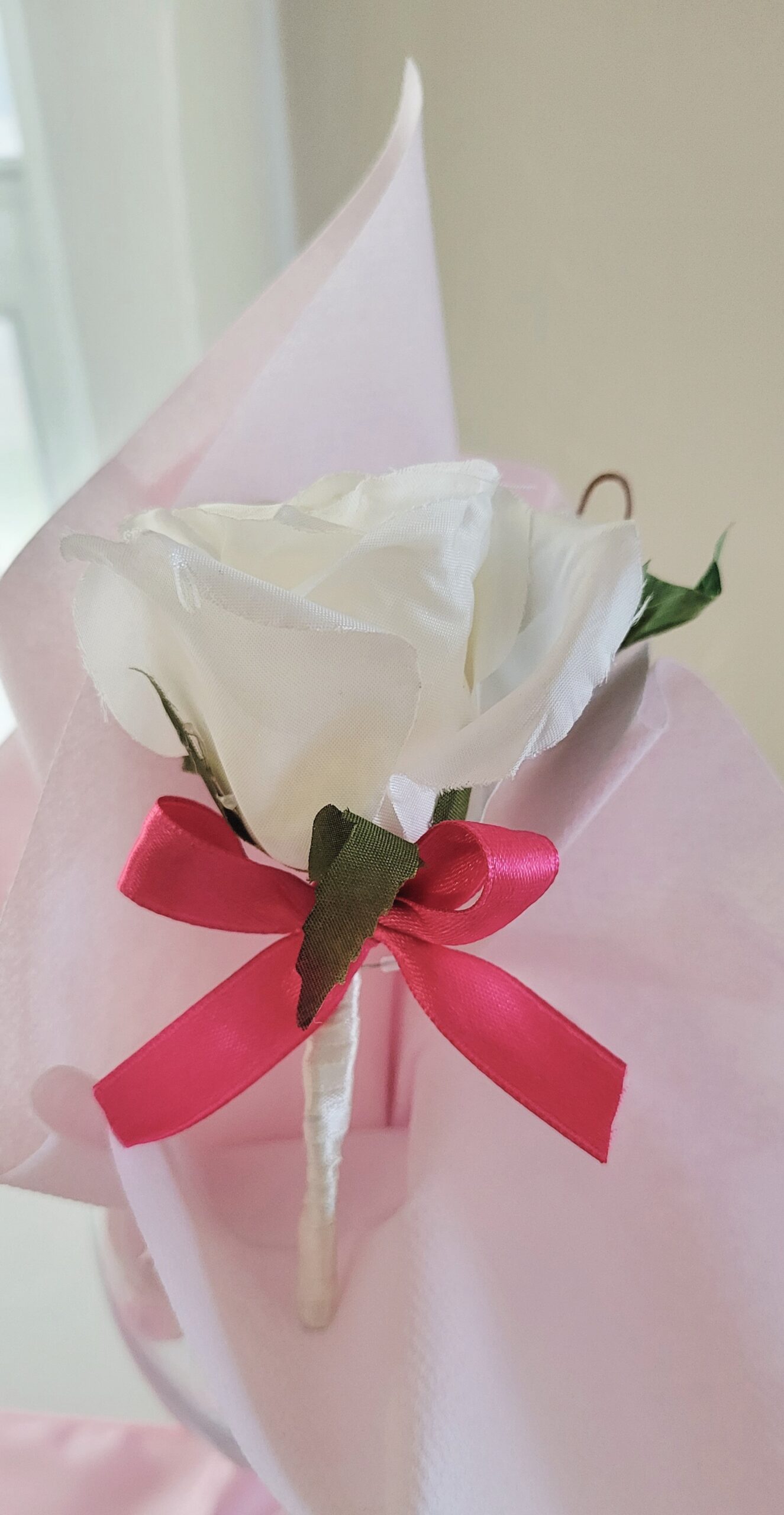 20231005 155815 scaled