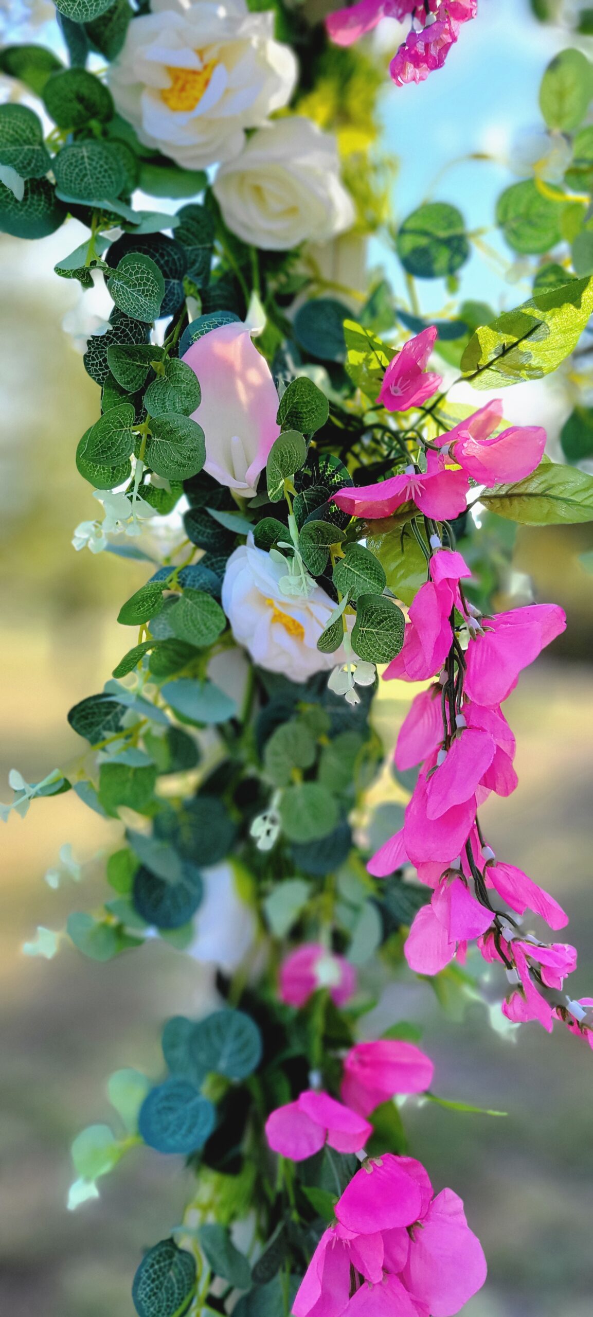 20231018 162056 scaled