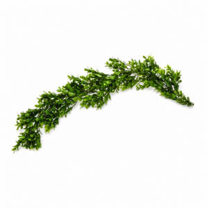 Boxwood Garland (3')