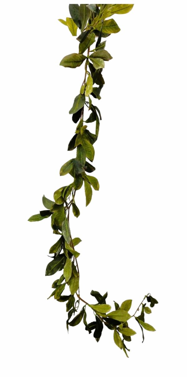 Bay Leaf Garland
