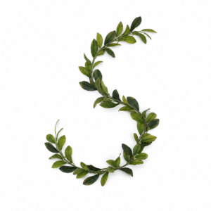 Bay Leaf Garland