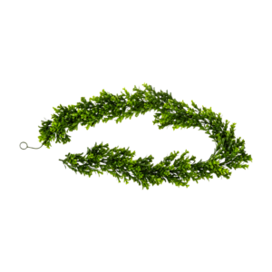 Boxwood Garland (6')