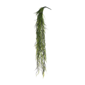 Saw Grass Hanging Bush