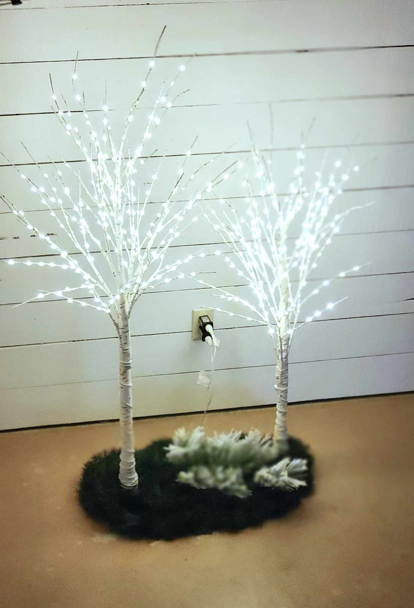 462546933 1112218237278073 8514408855654175946 n