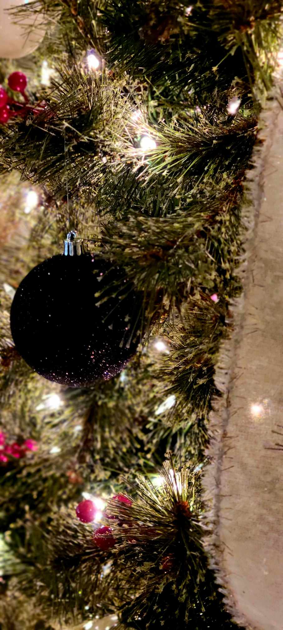 462556598 1320341469144633 1558012902449605543 n