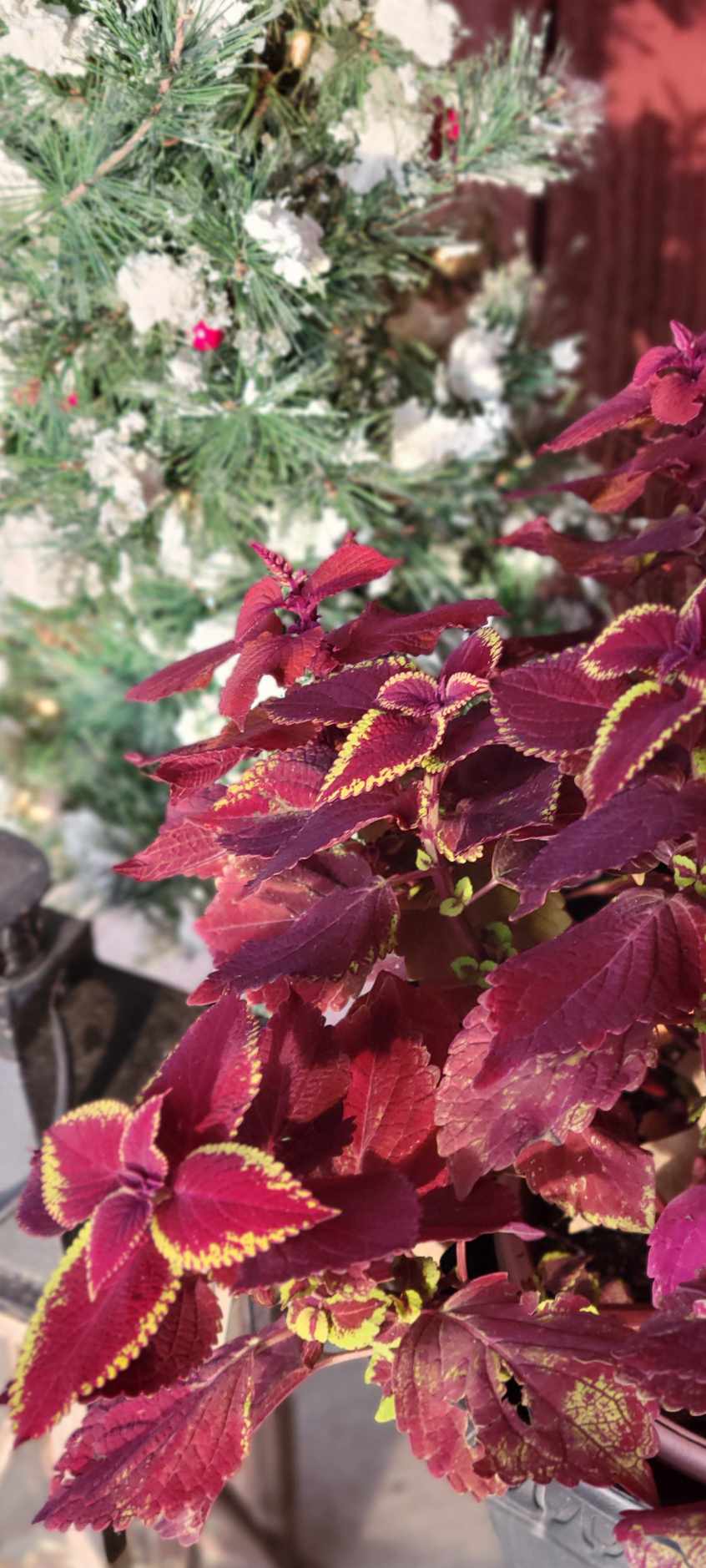 467113740 2334808286871033 6624341468798605386 n