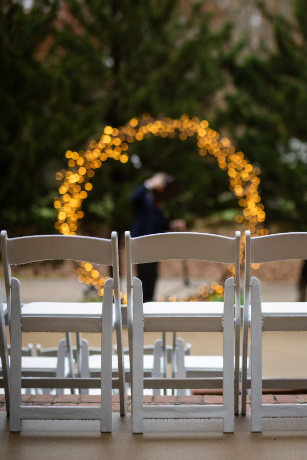 Lighted Willow Vines - Image 5