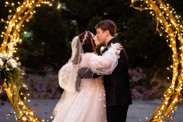 Lighted Willow Vines - Image 4