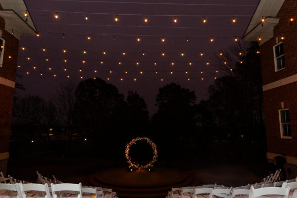 Lighted Willow Vines - Image 3