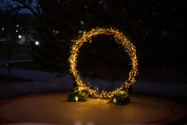Lighted Willow Vines - Image 2