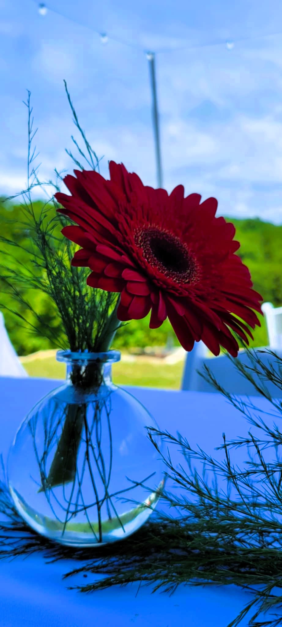 5a311a7e 0adf 44c0 96a6 9abef1deada1