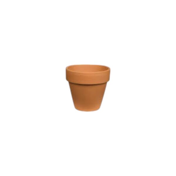 Terracotta Pot (Small)