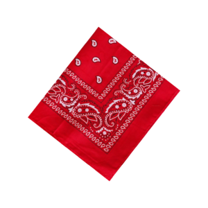 Red Paisley Bandana